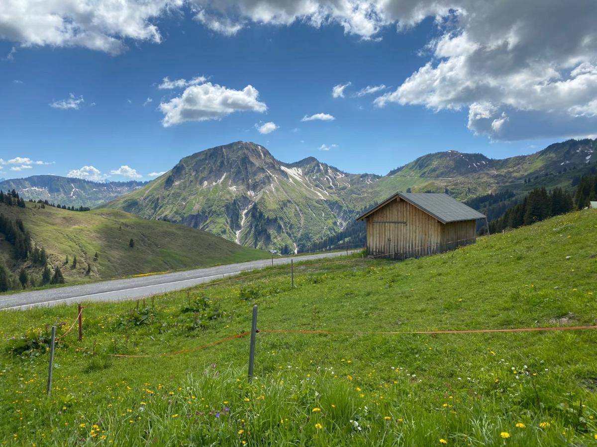 Apartment "Johann" Aktivurlaub Im Bregenzerwald Меллау Екстер'єр фото